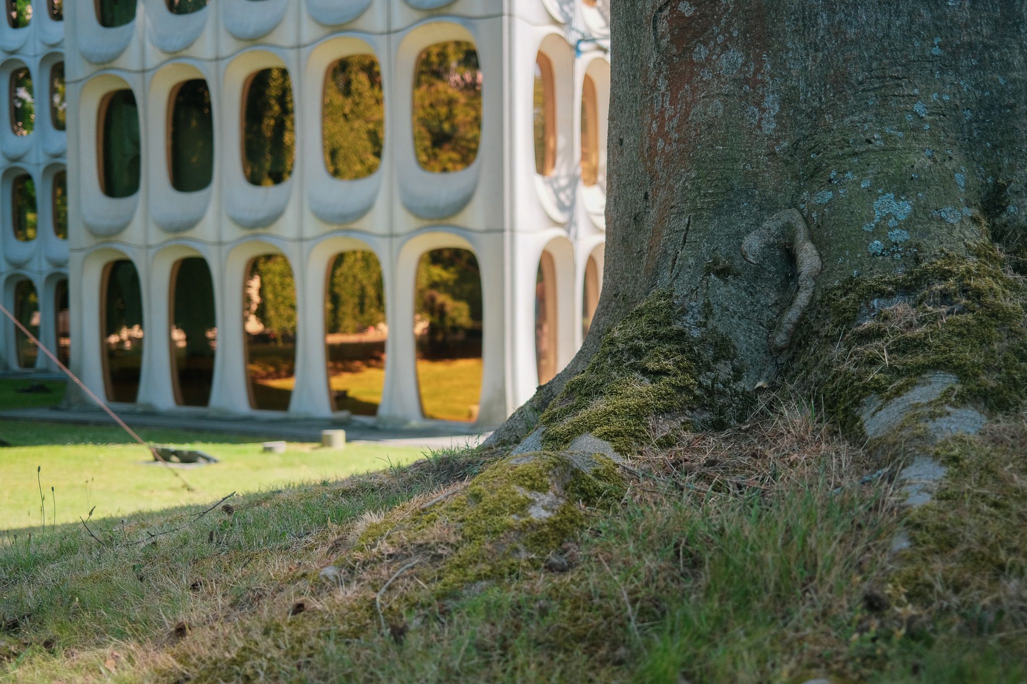 The building is in a leafy Brussels neighborhood of mostly mid-century office buildings.